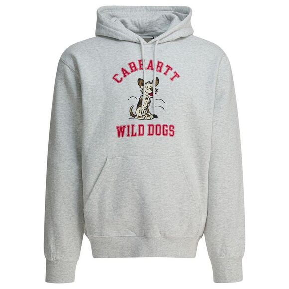 CARHARTT WIP Other - CARHARTT WIP Men's Graphic Hoodie Men GREY Sweaters & Cardigans